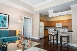 1 Bedroom Apartment Rental in Baton Rouge, LA